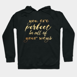 You are perfect in all of your ways Hoodie